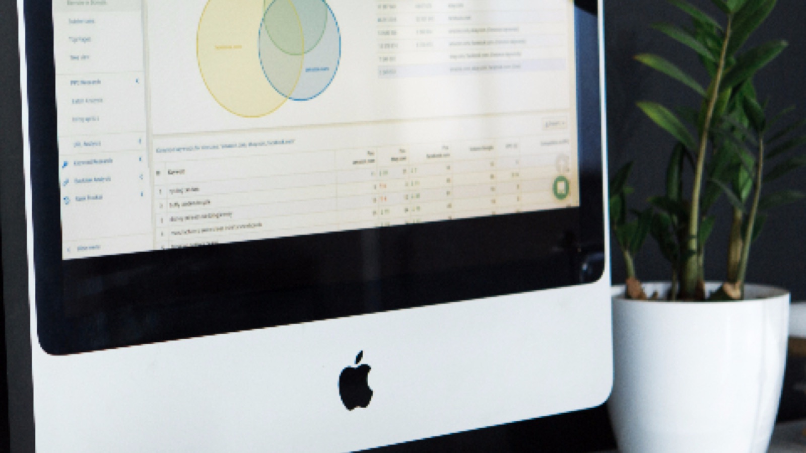Schermo con una dashboard di analisi dati accanto a una pianta in vaso