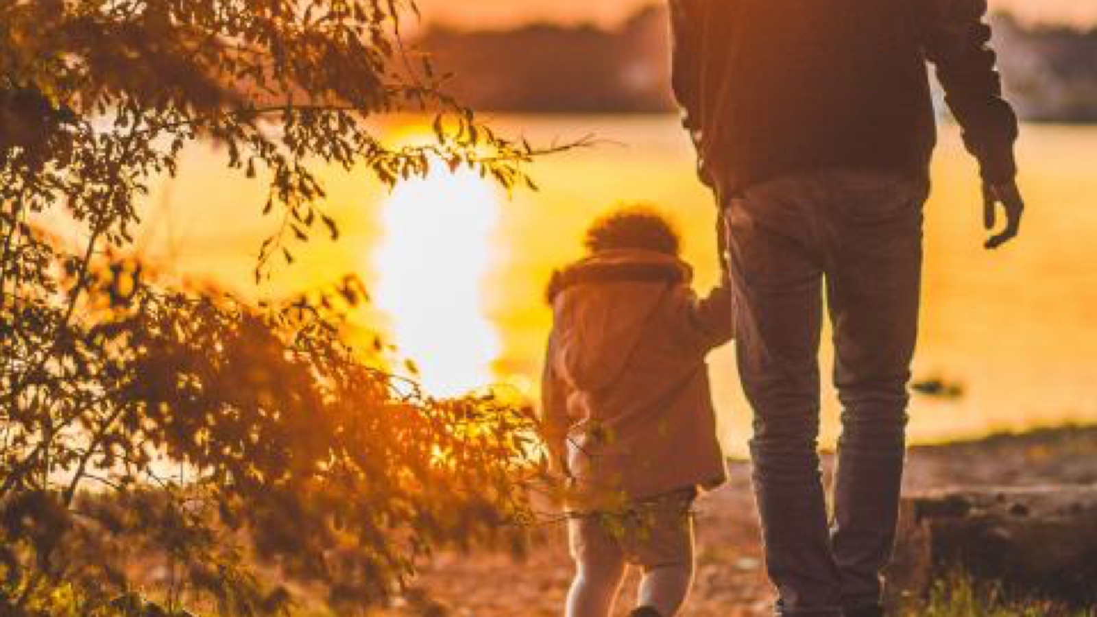Adulto e bambino di spalle che camminano mano nella mano al tramonto